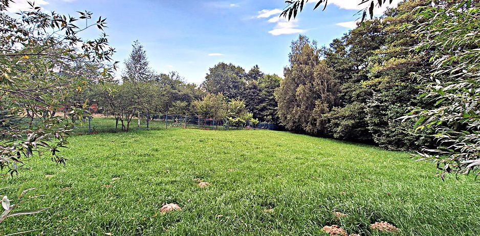 Bran Predelut teren intravilan de 2000mp, pret 27 euro/mp - Poză 10