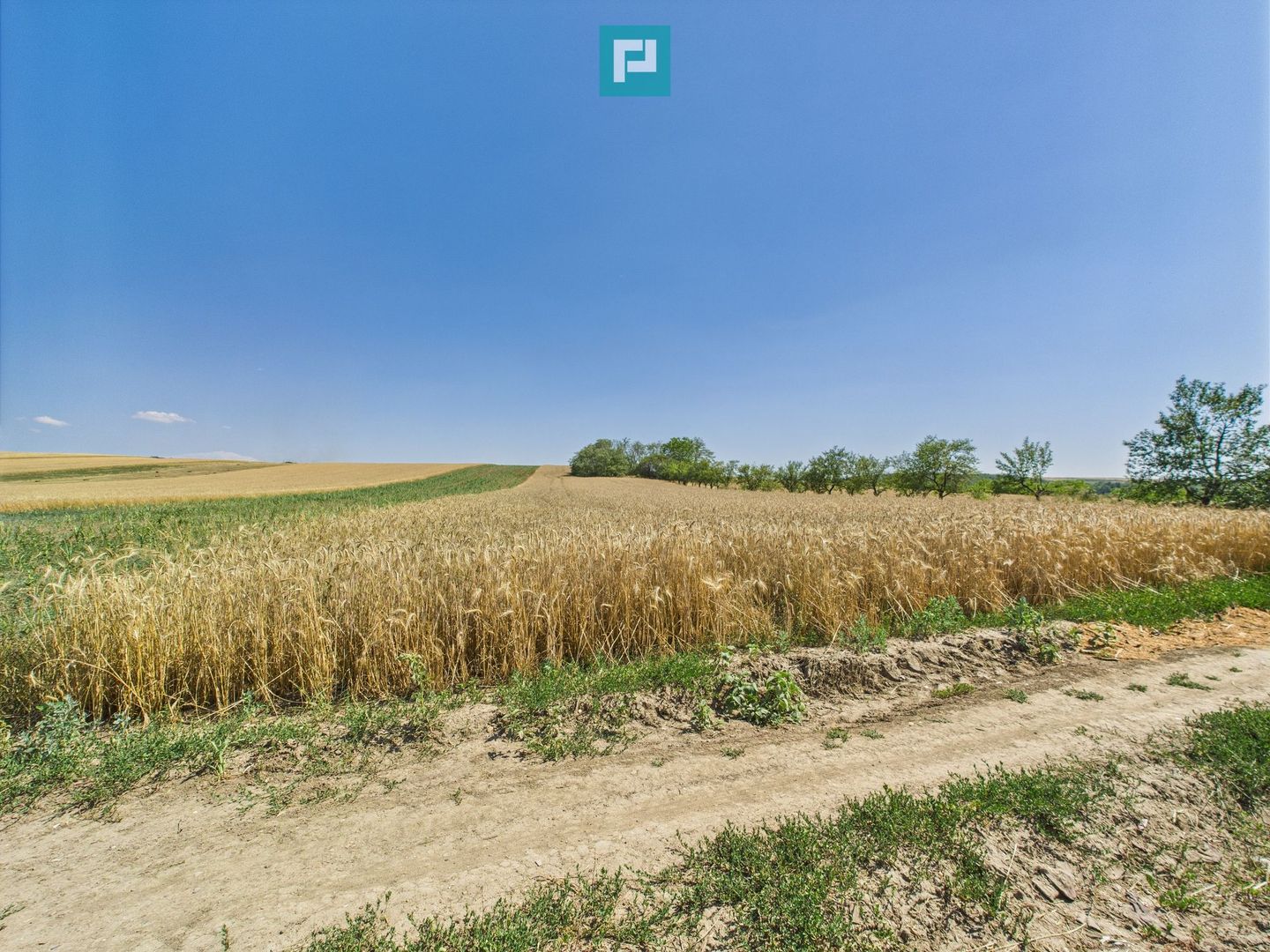 Teren intravilan + extravilan în Remetea Mică - Poză 8