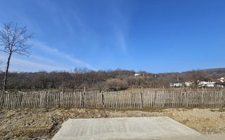 Teren 2500 mp în natură, Valea Bratia, priveliște spre munți - Poză 4