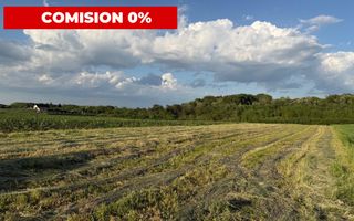 Teren de vânzare în Ocna Sibiului – Locație premium lângă lacurile sărate - Poză 1