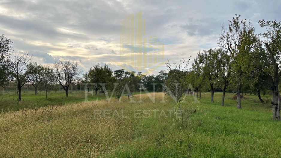 Casa de vanzare Seini - Poză 3