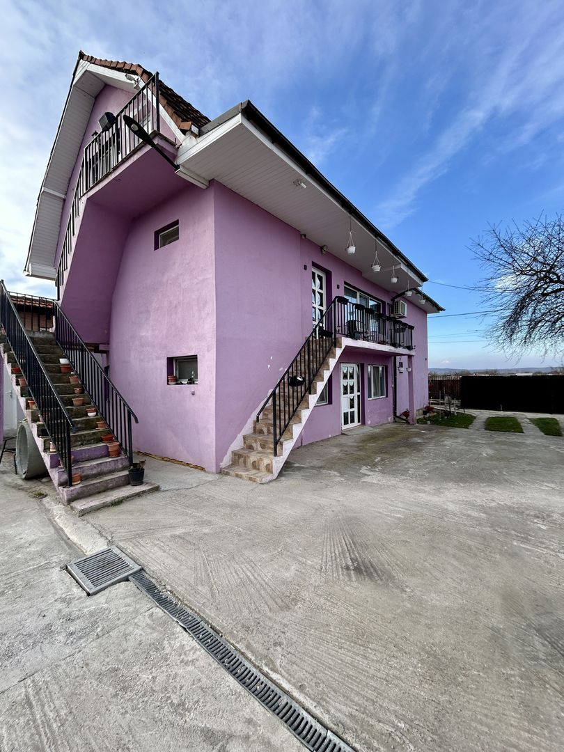 Casă 14 camere și 8000mp teren localitatea Sacădat - Poză 2