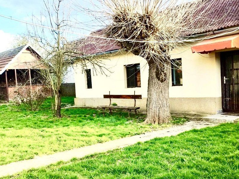 Casa situata central cu teren în suprafață de 5036 mp - Poză 1