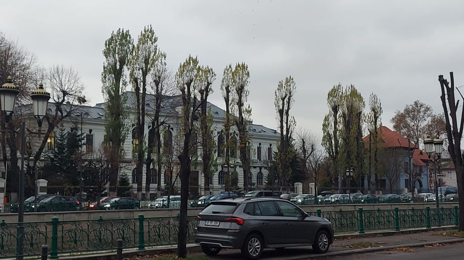 Palatul Parlamentulu Izvor | Cotroceni | Curte libera 300Mp |10 parcari in curte - Poză 76