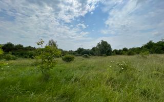 Teren intravilan***1439 mp***Cretesti-Vidra-Ilfov - Poză 18