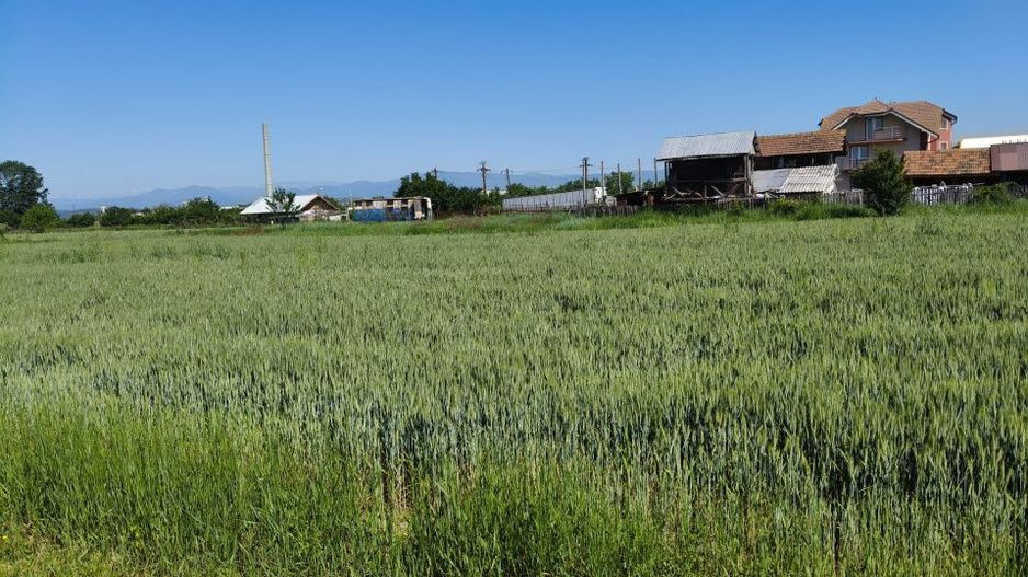 Teren 10.294 mp de vânzare Târgu Jiu | Intravilan + Extravilan | Utilități - Poză 4