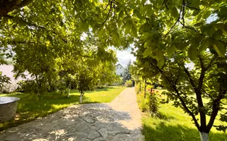 Casă/Vila + Teren 13 Ari de Vânzare |Lisaura/Suceava I 280.000 Euro - Poză 31