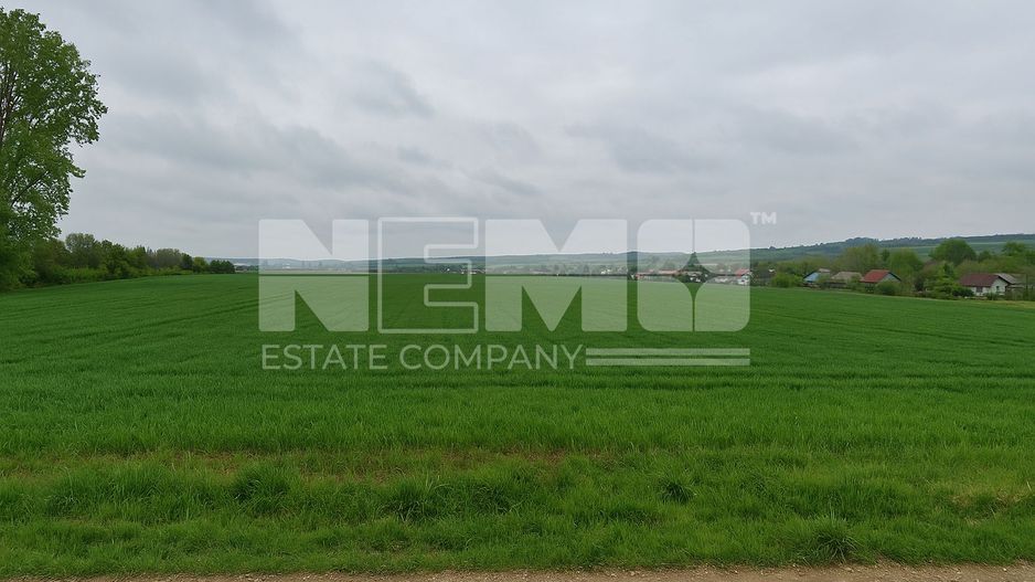 Teren intravilan 3.931 mp | Iacobești | Investiție excelentă - Poză 2