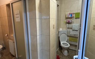Dau in chirie spatiu comercial Cluj- salon infrumusetare - Poză 10