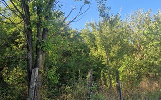 Teren intravilan de vânzare Livezile | Aproape de centru - Poză 2