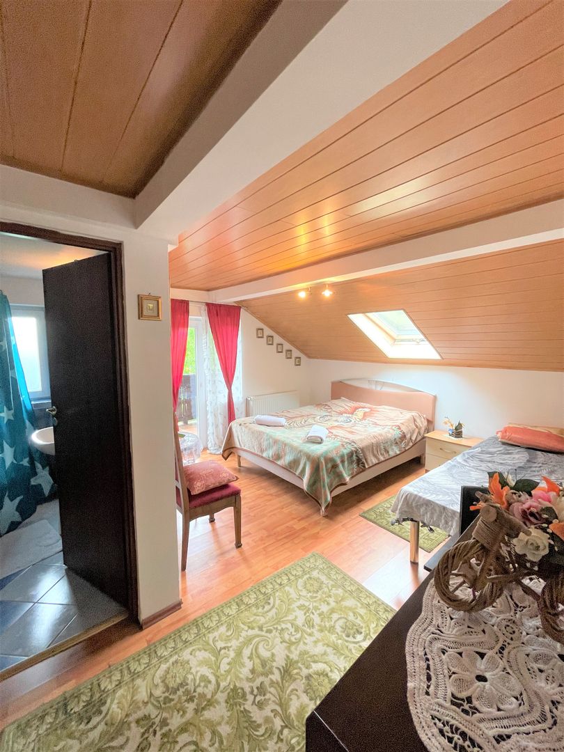 Proprietate in incantarea naturii, oportunitate investitie/rezidential, Predeal - Poză 28