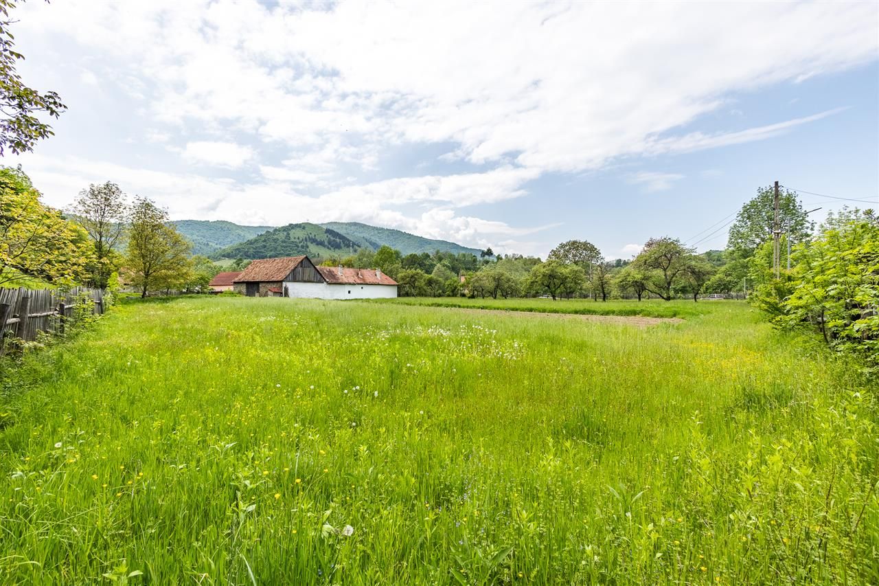 Teren intravilan, in impresionat cadru natural,Central, Sinca Noua,Brasov - Poză 6