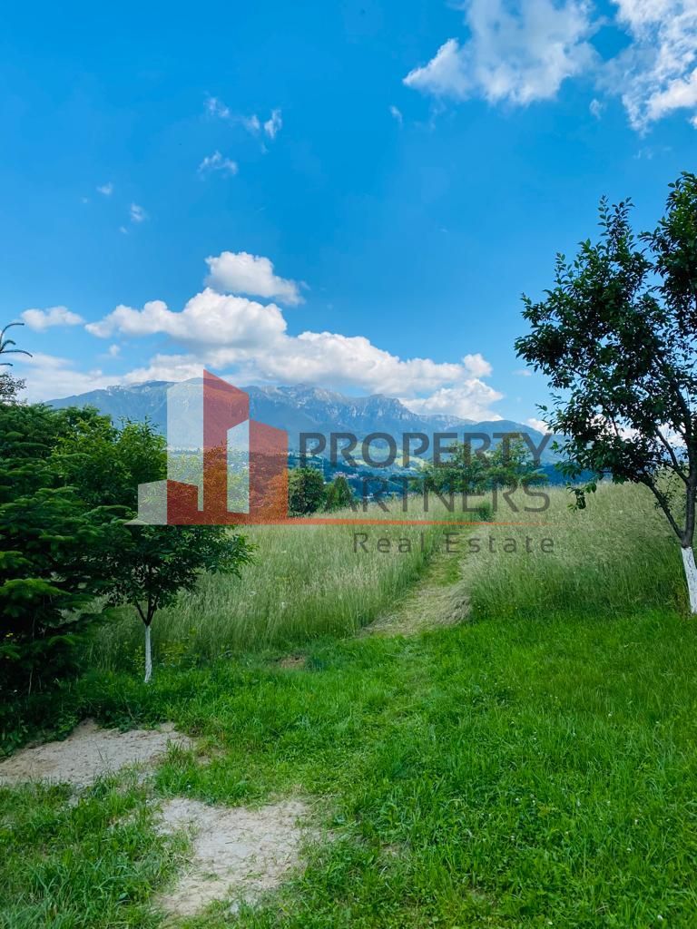 Vilă in Bran cu teren de 28.000 mp și priveliște spectaculoasa - Poză 26