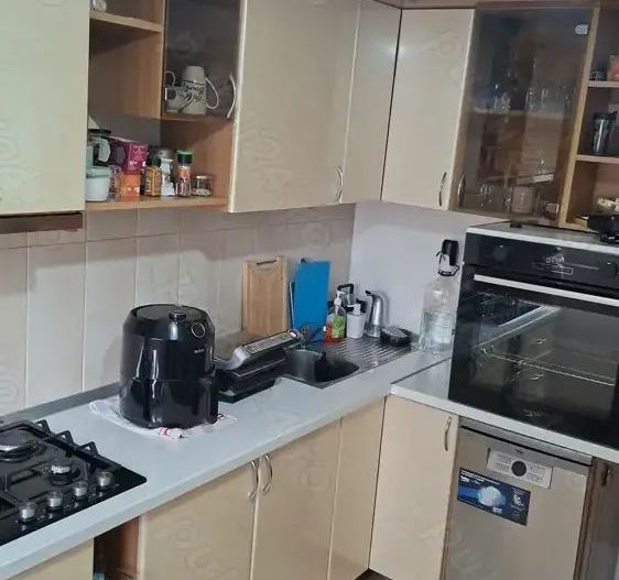 Apartament Timpuri Noi/Radu Vodă - Poză 7