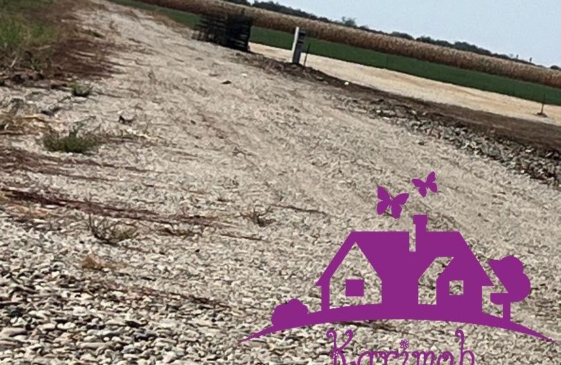 Teren industrial pentru hale - Poză 2