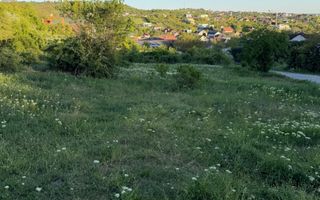 ⭐  Teren de 2.700 mp cu front generos – Ocazie în Oncea - Poză 3