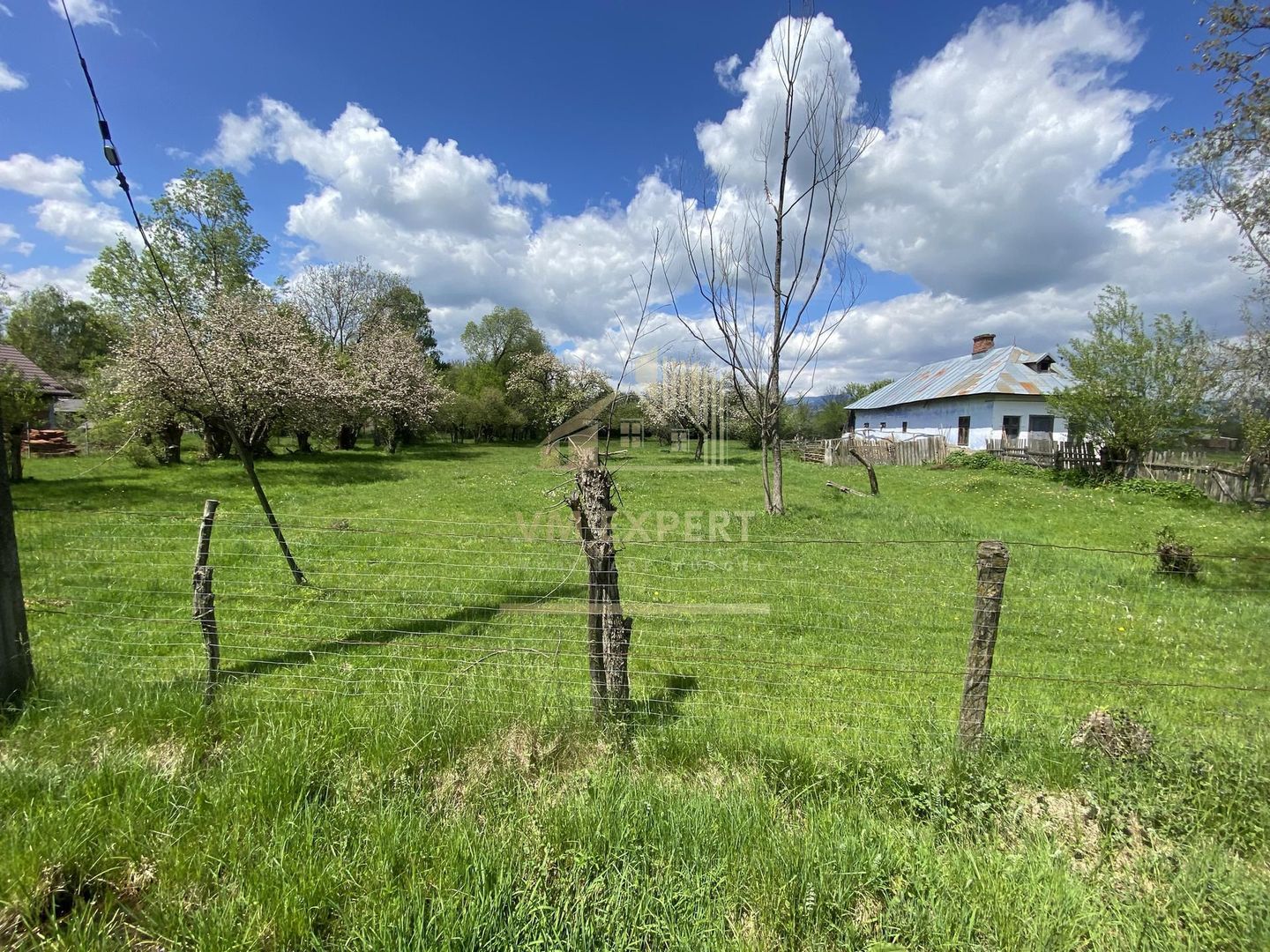 CASA CU TEREN 4000 MP, LA 5 MINUTE DE CENTRU CAMPULUNG - Poză 8