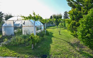 Casa cu piscina de vanzare | 3.300 mp teren | Urlati - Prahova - Poză 22