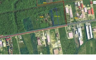 Calea Lugojului | Teren intravilan pentru servicii de 11.509 mp - Poză 2