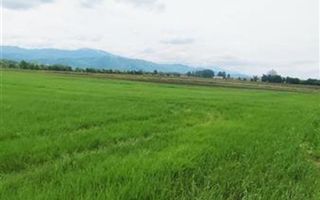 teren intravilan Stupini-Albinelor - Poză 10