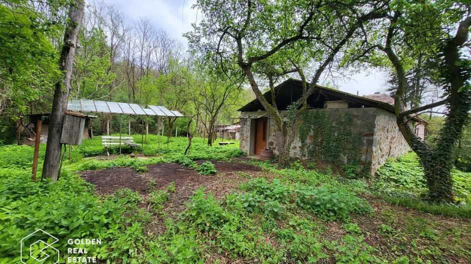 Casa de vacanta Baratca, comuna Paulis - Poză 11
