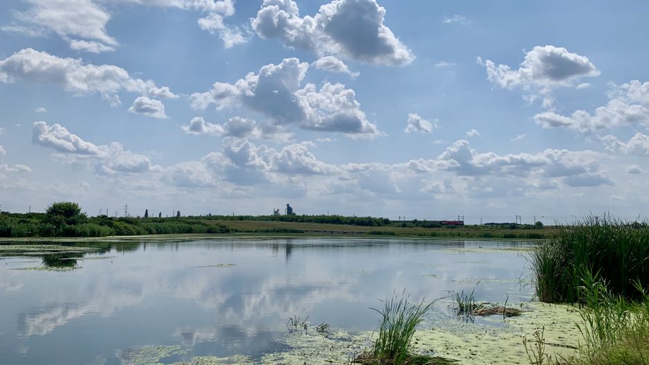 Teren Crevedia 62000 mp - Poză 2