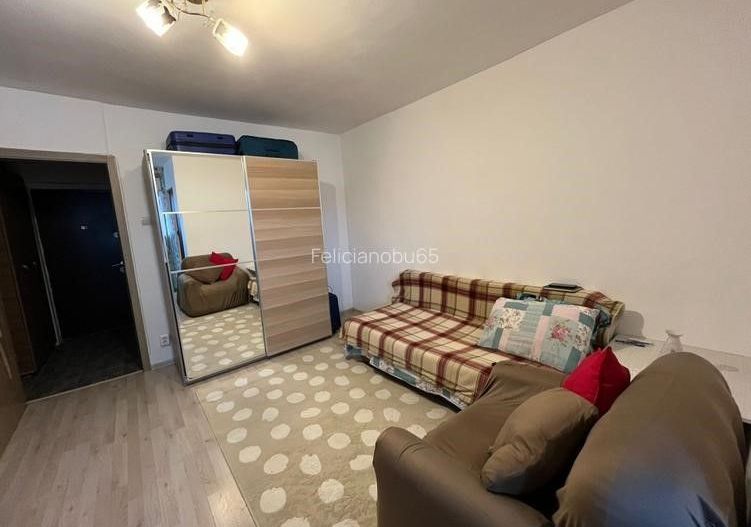 Garsoniera zona PIata Minis - Barajul Uzului - Poză 2