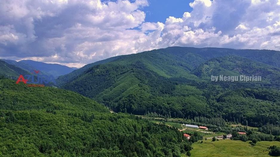 AZURA Imobiliare Pitesti - Casă de vacanță, Nucșoara! - Poză 17