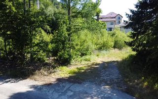 Oportunitate Investitie Teren Dambu Morii | Necesar PUD | Utilitati | 4.800mp - Poză 7