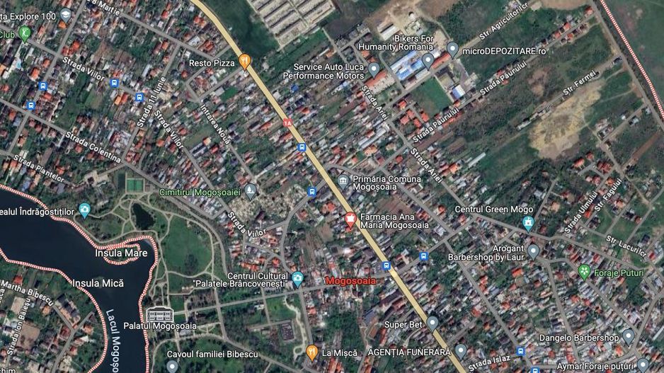 Teren de 4 Hectare în Mogoșoaia – Investiție Strategică cu Potențial Ridicat - Poză 1