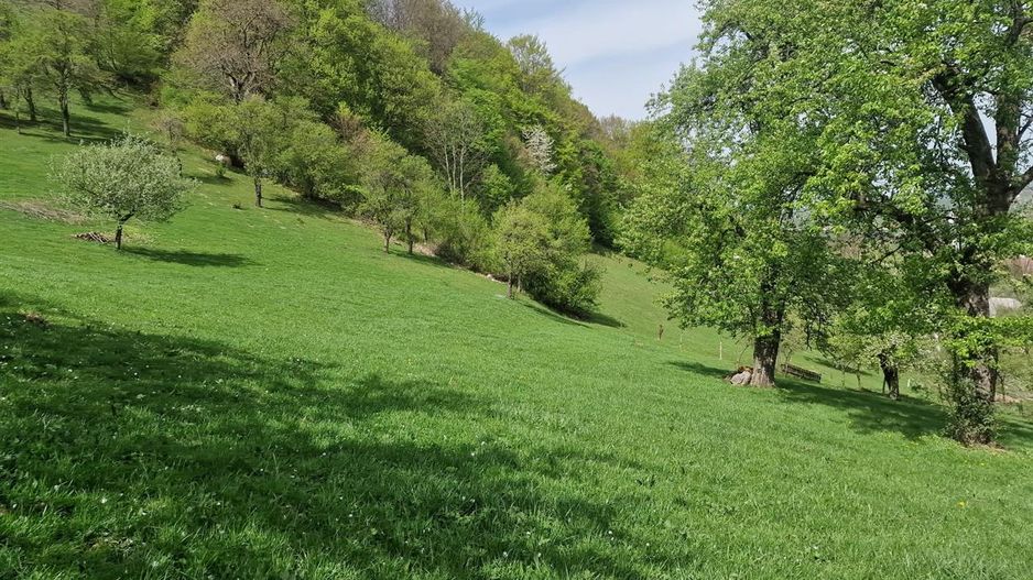 Langa emblematicul Castelul Bran, in areal colinar, 5.700mp intravilan - Poză 13