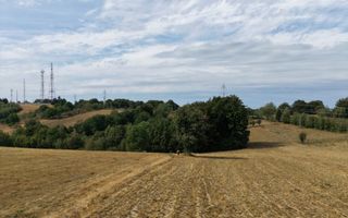 Teren Intravilan 17.800 mp Șinteu - Poză 2