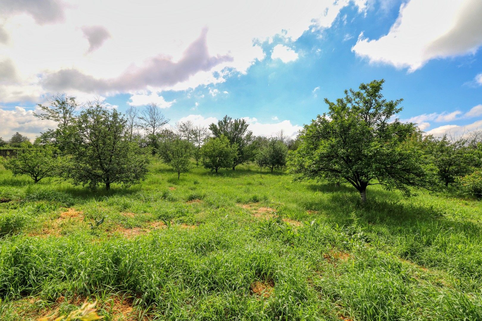 Oportunitate - Casă boierească  de poveste- 7000 mp teren - Poză 81