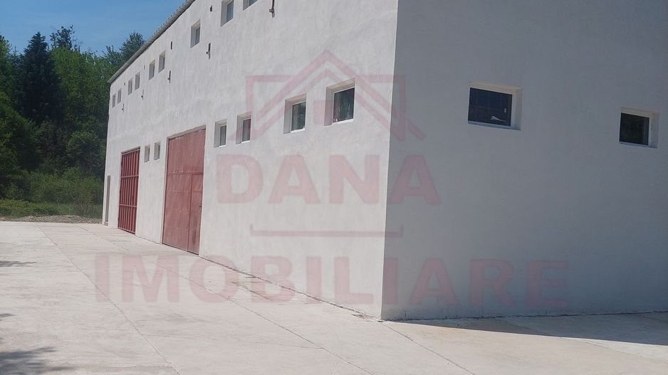 HALĂ DE VÂNZARE SAU ÎNCHIRIERE, ÎN  LOC.. BĂUȚAR, JUD. CARAȘ-SEVERIN - Poză 4