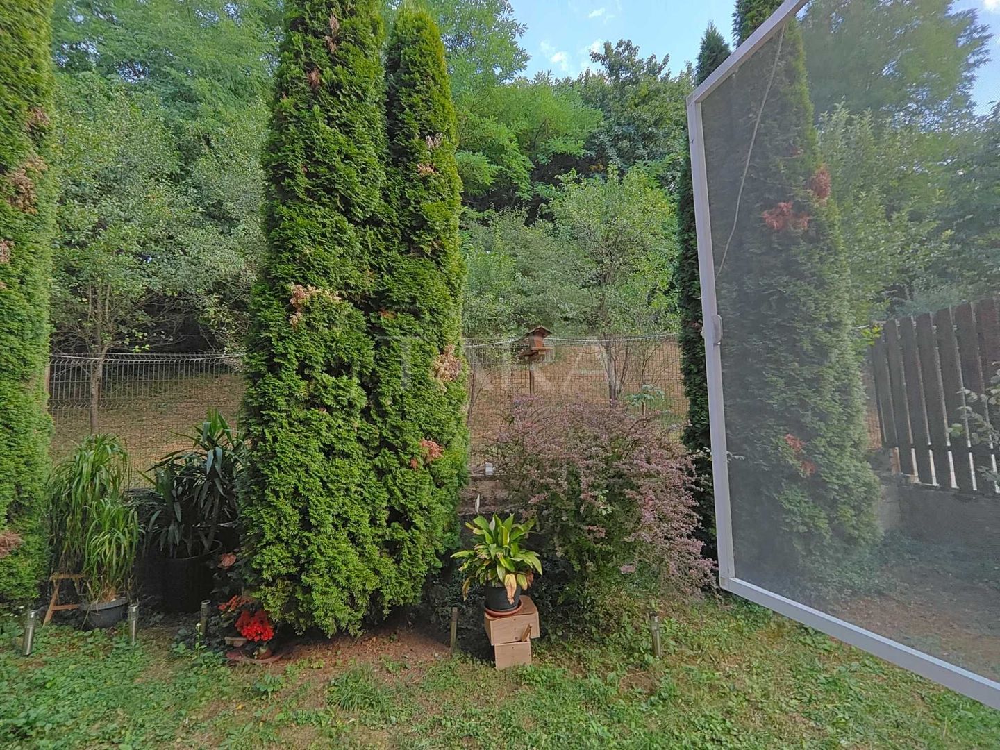 Apartament cu 3 camere și 2 parcări, curte comună, lângă pădure. - Poză 6