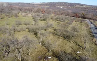 Teren 20.146 mp Dâmbu Rotund (Lomb).Extravilan.Potențial rezidențial - Poză 15