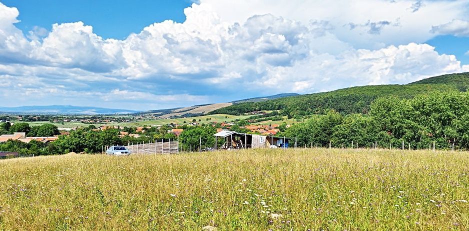 La 24 km de Brasov teren superb de 2010mp cu utilitati - Poză 7