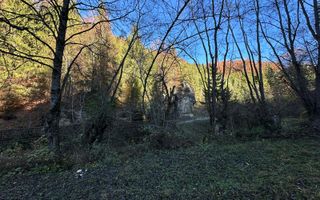 Teren 2.882 mp – oportunitate investitie - Cheile Dâmbovicioarei - Poză 9