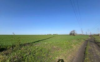 Teren 41,49 ari Ghidighici | deschidere 122 m | agricol | investiție - Poză 15