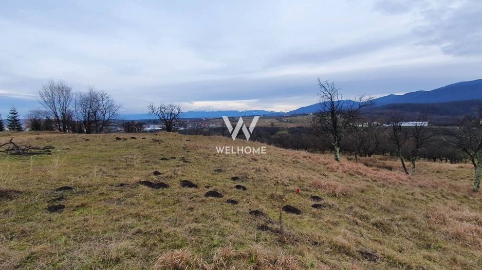 Rădăcini noi, visuri vechi- Teren de vanzare in Cisnadioara, Sibiu - Poză 1