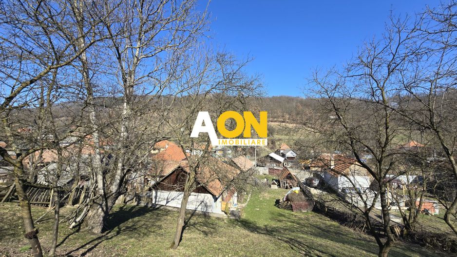 Casa de Vacanta 2 Camere, Strada Morilor Zlatna - Poză 14