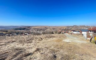 Teren cu potential de investitie 2430 mp si drum de acces - Poză 1