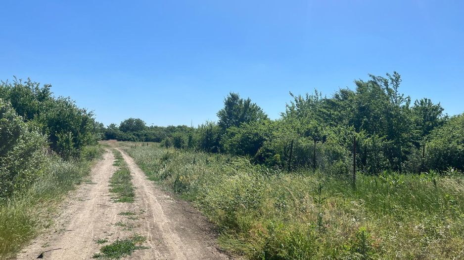Teren intravilan 500mp | Kuncz, Timișoara | Oportunitate de Investiție - Poză 5