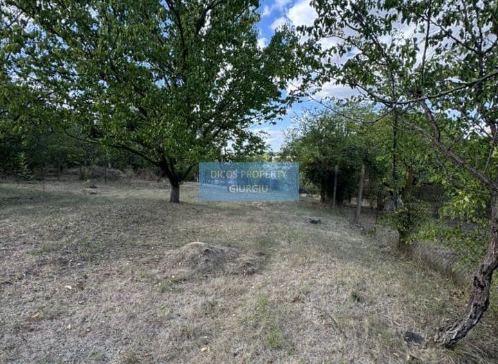 DE VANZARE Teren intravilan Comuna Daia,Jud Giurgiu - Poză 2