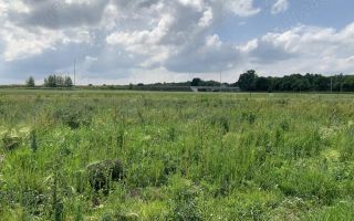 🌿 Teren de vânzare în Ghiroda cu toate utilitatile trase – Zona Bistra - Poză 3