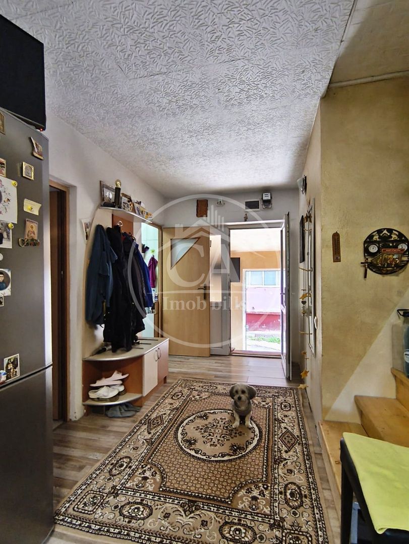 Apartament cu 2 camera la curte comuna de vanzare Central, Oradea - Poză 8