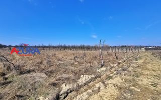 AZURA IMobiliare - Teren Iefin Bascov 3km de Giratoriu - Poză 3