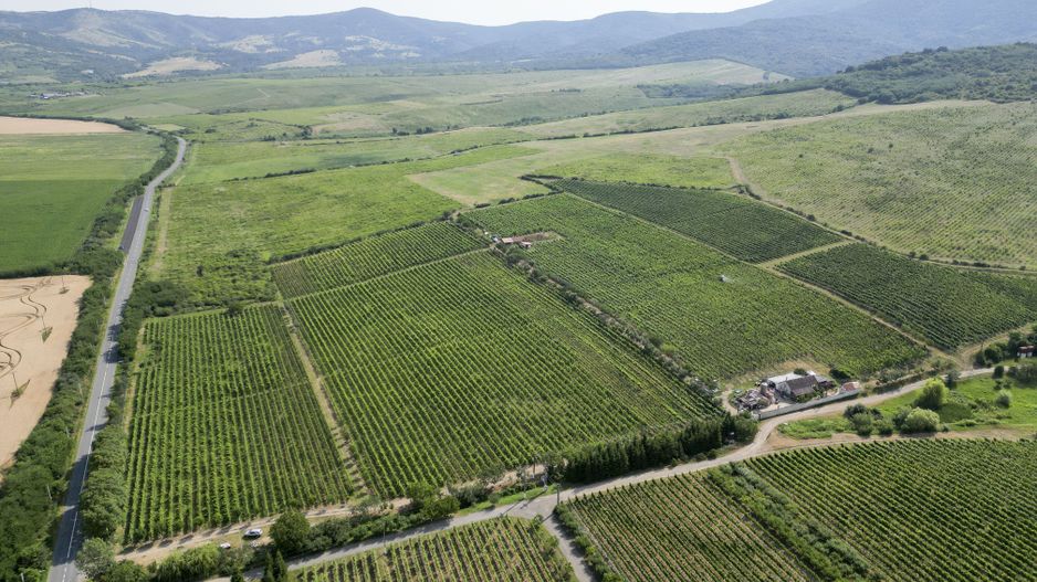 Vie Tradițională „Halta Lupilor” - Poză 33