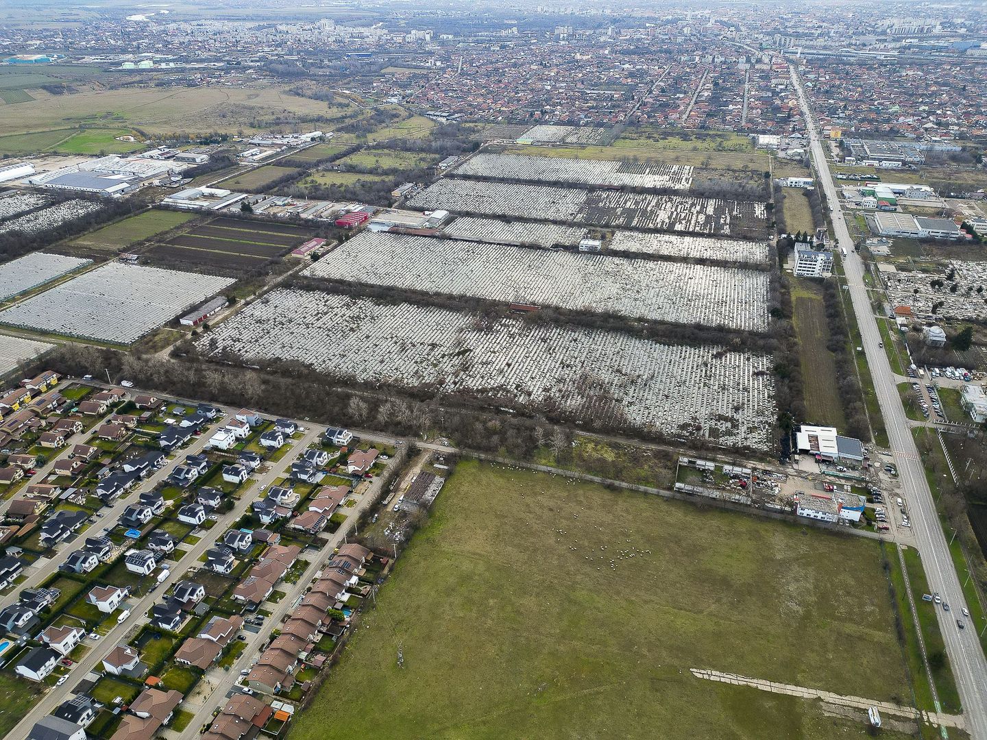 Teren Intravilan de 15.300 mp în Grădiște, Arad - Poză 2