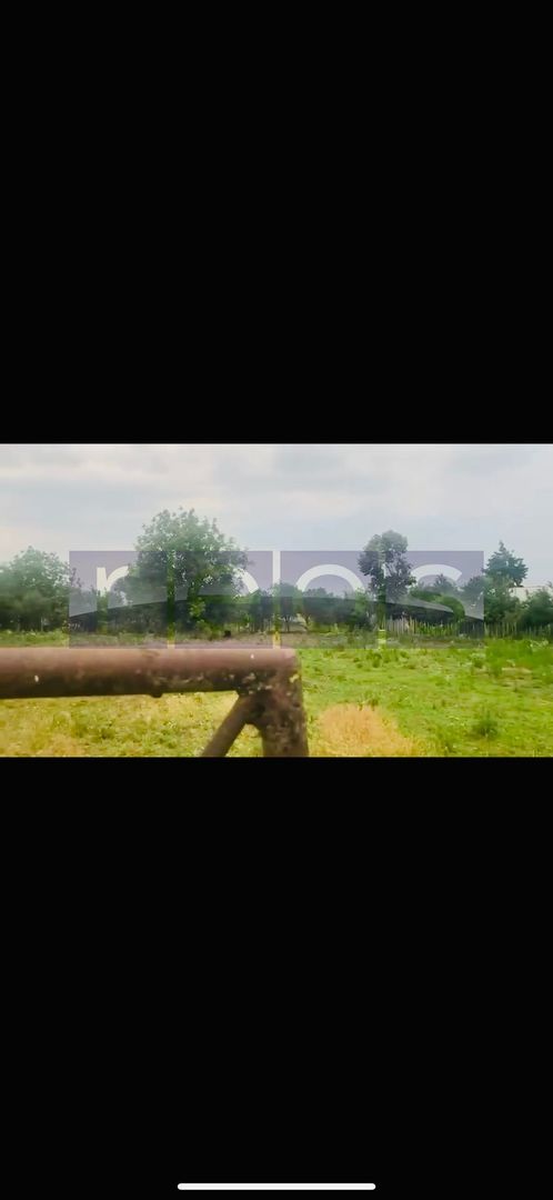 TEREN DE VANZARE CREVEDIA DAMBOVITA 506 MP - Poză 2